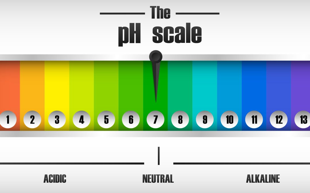 A Practical Guide to pH Adjustment in Wastewater Treatment Systems